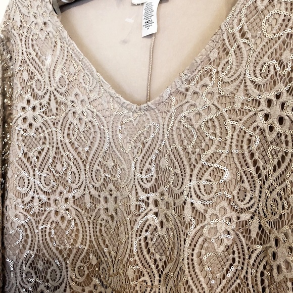 NWOT Taupe Lace Top W/Gold Sequin Accent Sz 3X - Picture 2 of 4